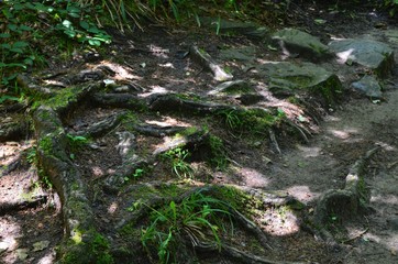 Steinbachtal bei Rudersberg