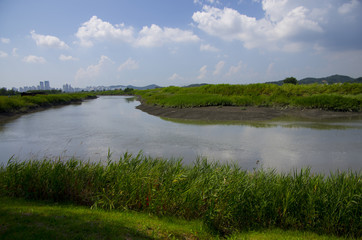 landscape with lake and blue sky