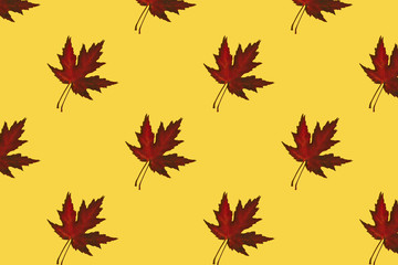 Red autumn leaves pattern on yellow background. Creative layout.