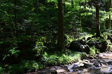 Steinbachtal bei Rudersberg