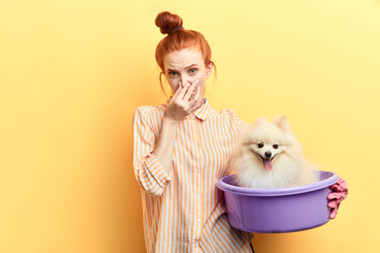 ginger girl in gloves and stiped shirt touching her nose, she has found a stray dog and wants to wash it. closeup portrait. wellness and wellbeing of pets. cleanliness concept