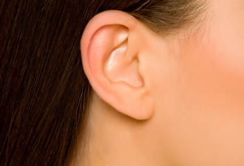 Closeup of ear of young woman - obrazy, fototapety, plakaty
