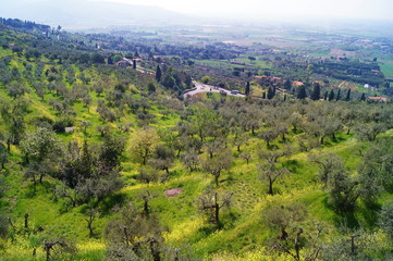 Panorama of the Tuscan countryside around Cortona