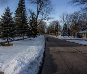 Country road, bordered by snow, pine trees, blue skies & white clouds.