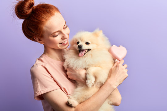 happy red-haired kind cute woman brushing her dog, love, friendship concept, isolated blue background, studio shot.