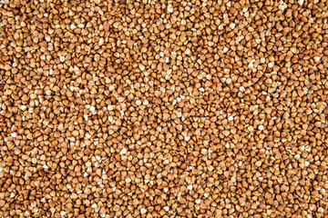 Whole grains of buckwheat