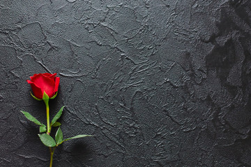 Red rose on a black background, stone. A condolence card. Empty space for emotional, quotes or...