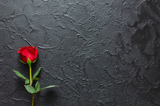 Red rose on a black background, stone. A condolence card. Empty space for emotional, quotes or sayings. The view from the top.