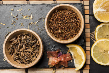Top view insects and sliced lemons