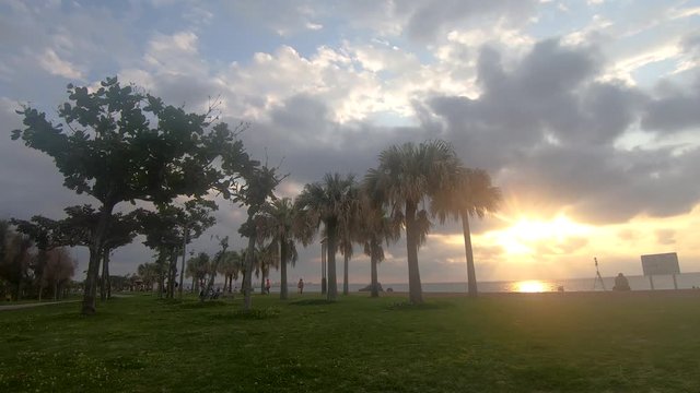 Time Lapse of palm trees and clouds moving in different directions. Sunset at Araha Beach, Okinawa, Japan