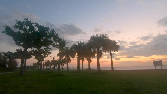 Time Lapse of palm trees and clouds moving in different directions. Sunset at Araha Beach, Okinawa, Japan
