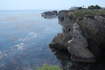 The crystal blue Pacific Ocean, is borderedd by the tall rocky cliffs, green trees & clear blue skies.