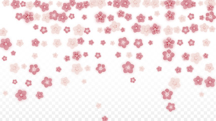 Vector Realistic Pink Flowers Falling on Transparent Background.  Spring Romantic Flowers Illustration. Flying Petals. Sakura Spa Design. Blossom Confetti. Design Elements for Wedding Decoration.