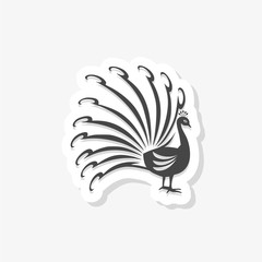 Peacock bird logo sticker icon, beautiful bird logo