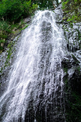 Obraz premium high waterfall in dark forest dark green plants around, logs below of waterfall