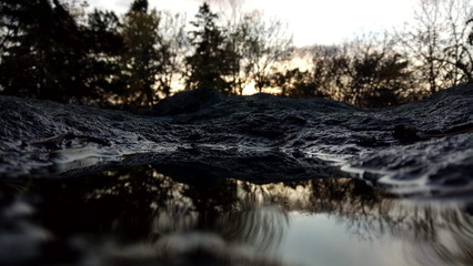 reflection in the water