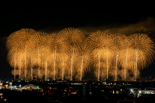 フェニックス Photos Royalty Free Images Graphics Vectors Videos Adobe Stock