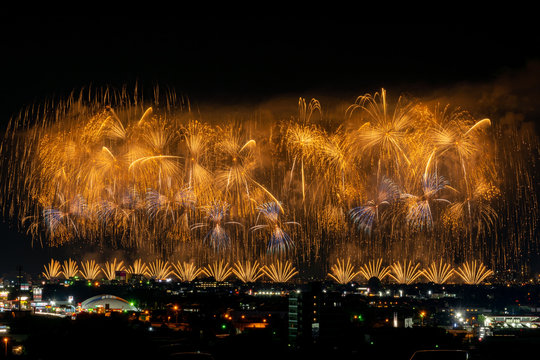 851 Best フェニックス Images Stock Photos Vectors Adobe Stock