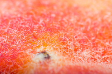 macro photo of peach skin texture