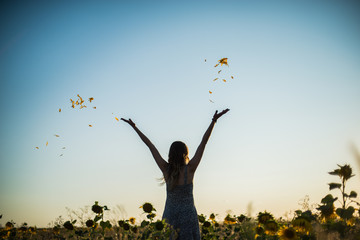 silhouette of a pregnant girl in a field of sunflowers and the wind flying petals