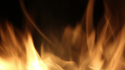 Campfire In The Night. Burning logs in orange flames close up. Background of the fire. Beautiful fire burns brightly. Embers of the fire climb up. Red flames surging up.