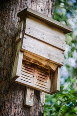 birdhouse