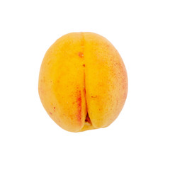 Ripe apricot isolated on a white background