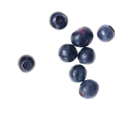 Ripe blueberries on a white background