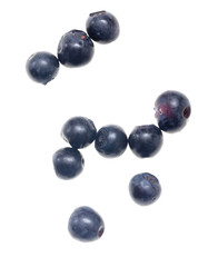 Ripe blueberries on a white background