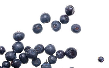 Ripe blueberries on a white background