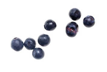 Ripe blueberries on a white background