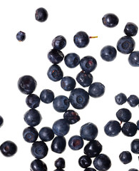 Ripe blueberries on a white background