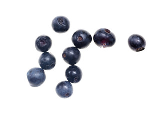 Ripe blueberries on a white background