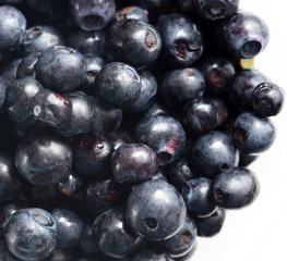 Blueberries in a glass on a white background