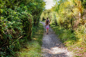 Fototapeta premium beautiful girl and her mom doing nordic walking with sticks in the countryside