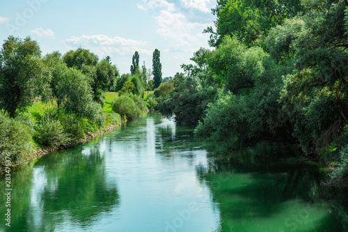 Nature Concept Part of River with Bushes and Trees
