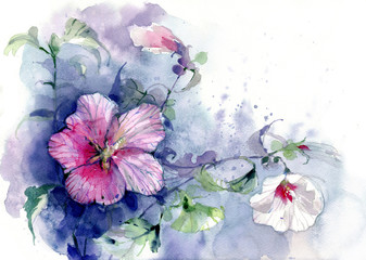 Flowers, botanical illustration, watercolor - 283476501
