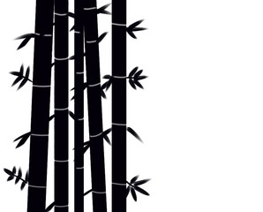 Black bamboo isolate on white background