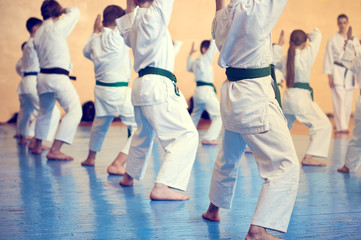 Kids training on karate-do. Young athletes in traditionally white kimonos with colored belts. Banner with space for text. Retro style. For web pages or advertising printing. Photo without faces. © Uladzimir