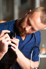 Veterinarian looks teeth to black cat.