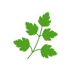 Naklejka premium olated parsley icon sticker. 