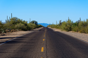 Highway through Saguaro National Park, Arizona
