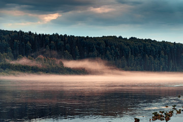 Evening fog over the calm surface of the water in the river with forest shore