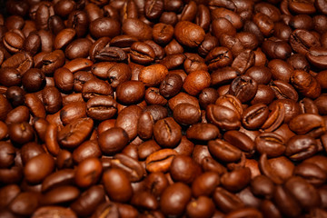 Roasted Coffee Beans