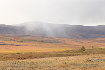 Fototapeta premium tundra