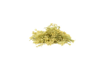 Dried herbal medicine Filipendula ulmaria, meadowsweet or mead wort, queen of the meadow, pride of the meadow, meadow-wort, meadow queen,  dollof, meadsweet isolated on white, with lot of copy space.