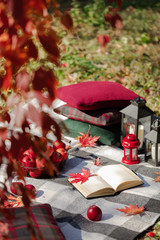 Autumn warm days. Indian summer. Picnic in the garden - blanket and pillows of gray, burgundy and green color on the background of autumn leaves.