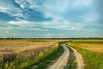 Fototapeta na wymiar A ground road through the fields
