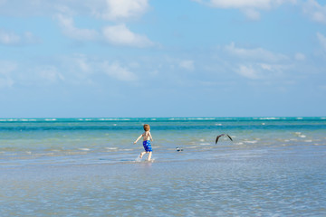 Active little kid boy having fun on Miami beach, Key Biscayne. Happy cute child running near ocean on warm sunny day. Healthy kid in swim trousers hunting seagull birds