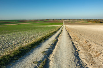 Fototapeta na wymiar The long straight dirt road through the fields